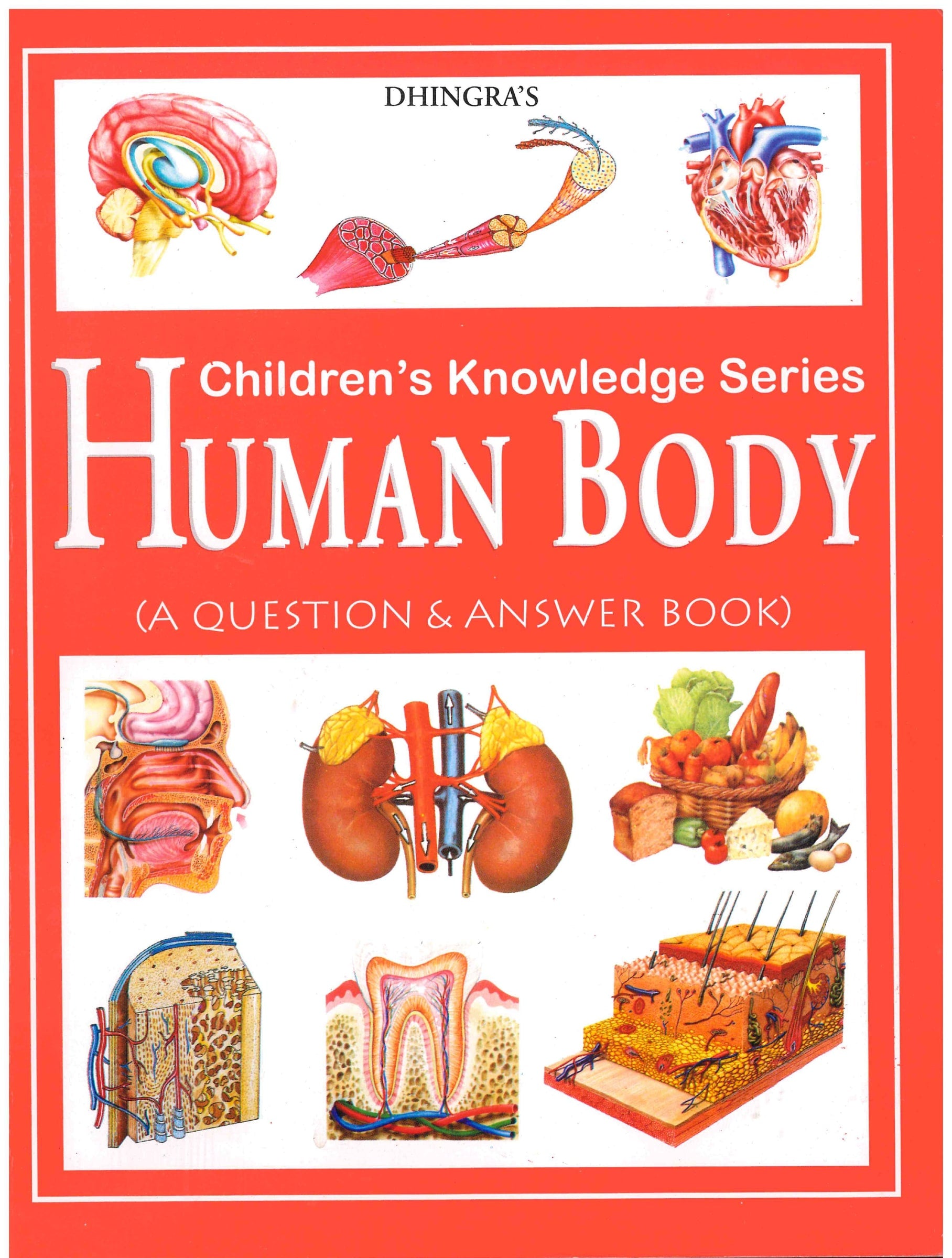 Know About Series Human Body