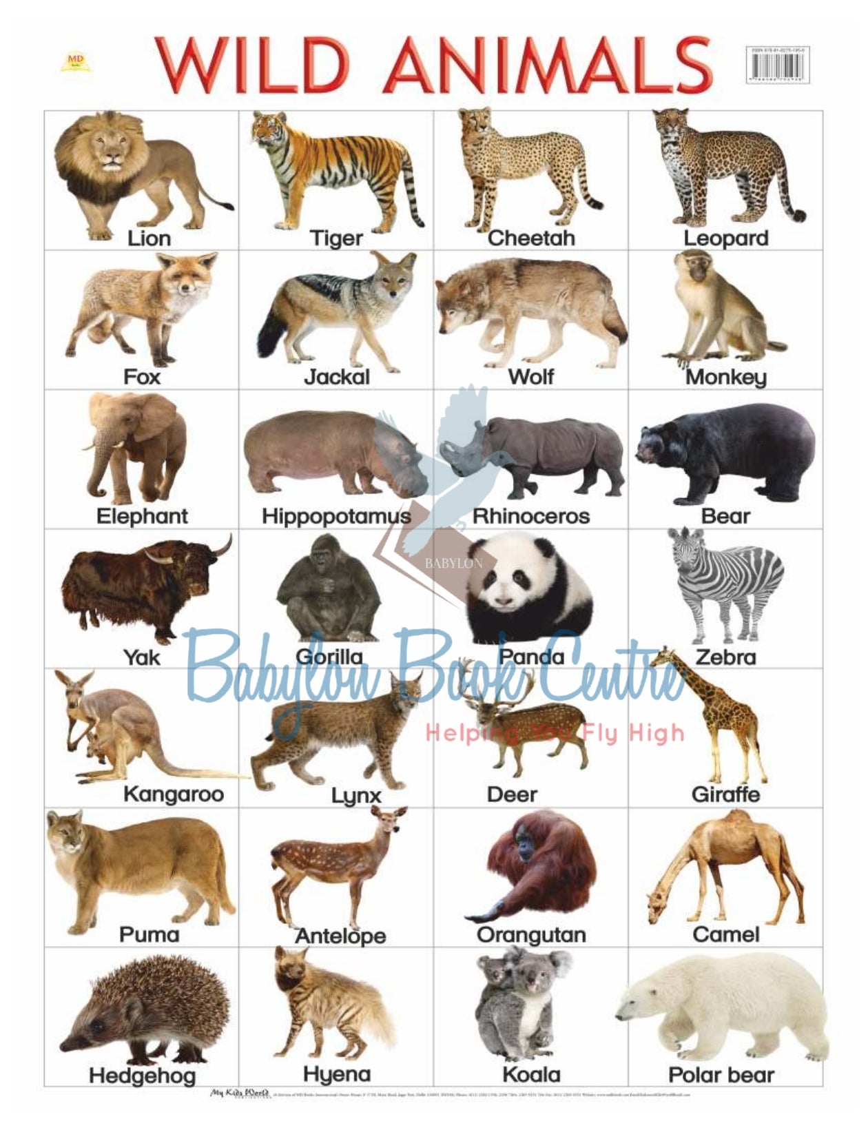 Wild Animals