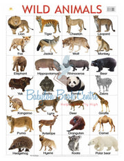 Wild Animals