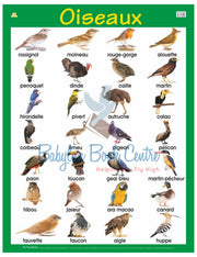 Oiseaux