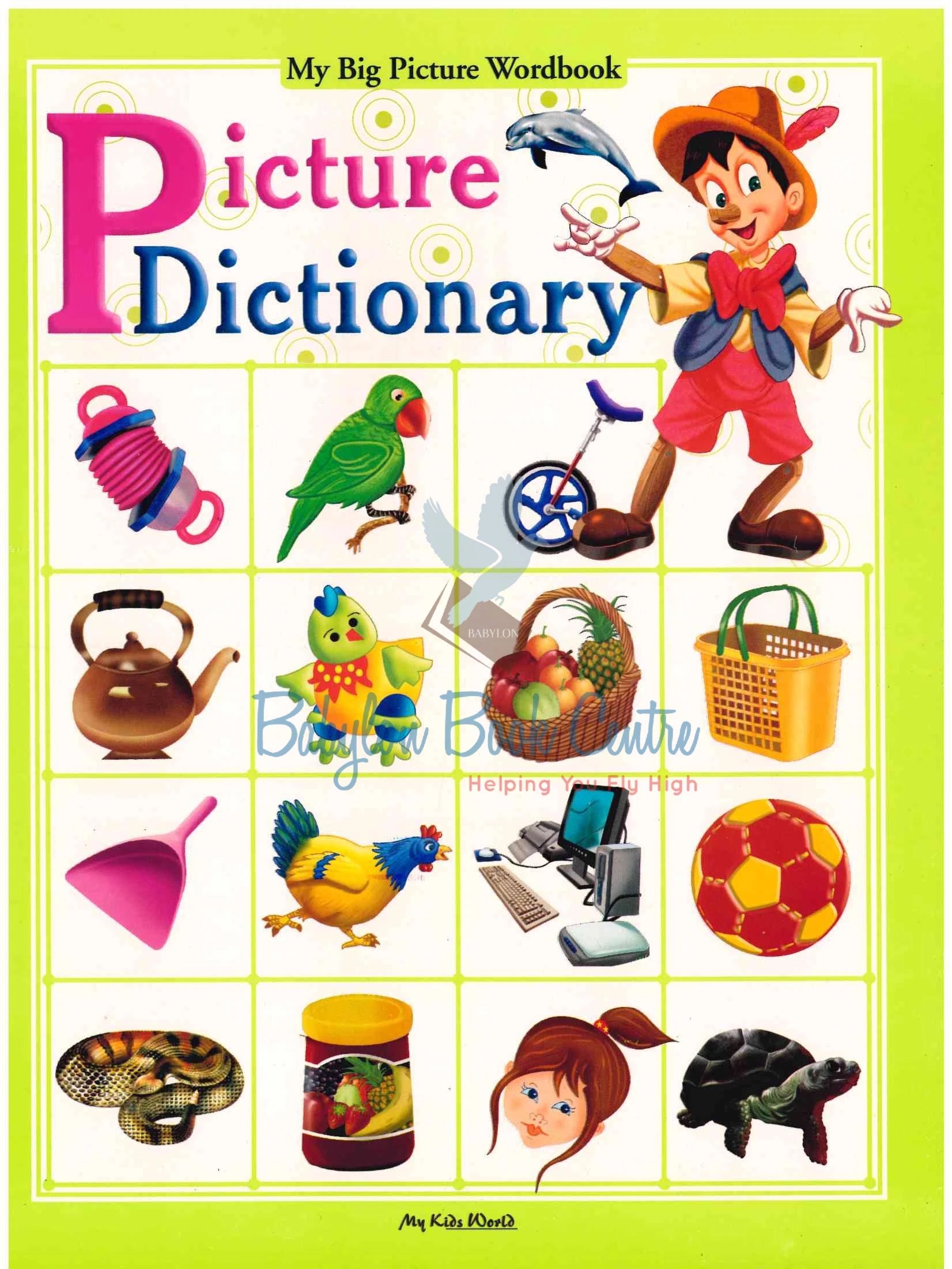 Picture Dictionary - My Big Picture Wordbook