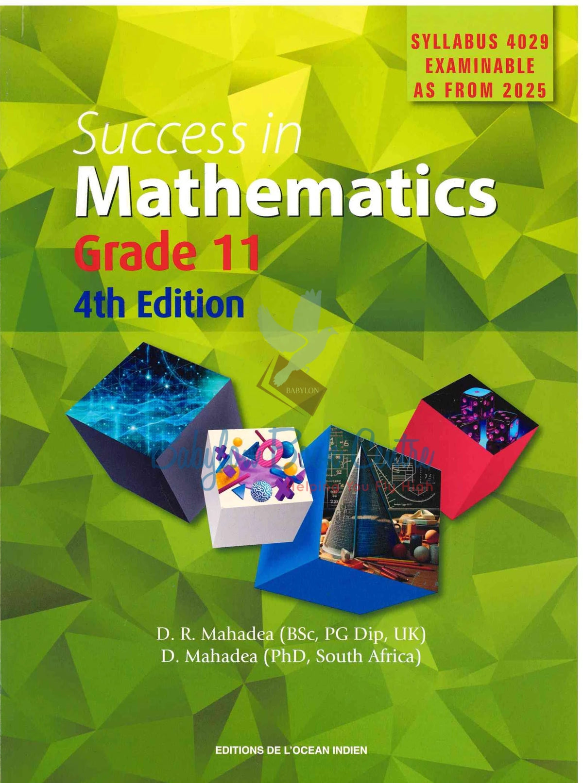 Success In Mathematics Grade 11 4th Edition - D. R. Mahadea