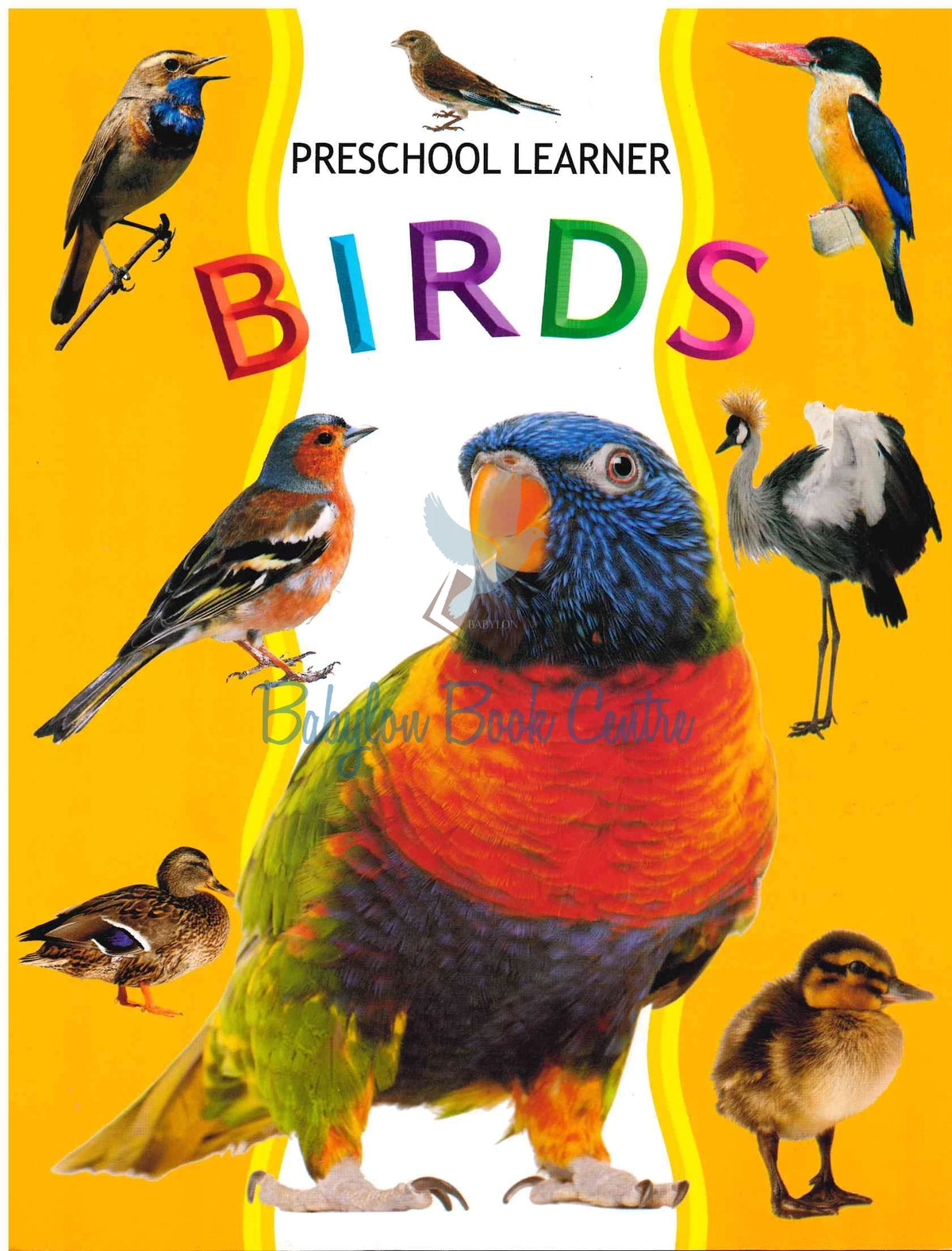 Birds - Preschool Learner