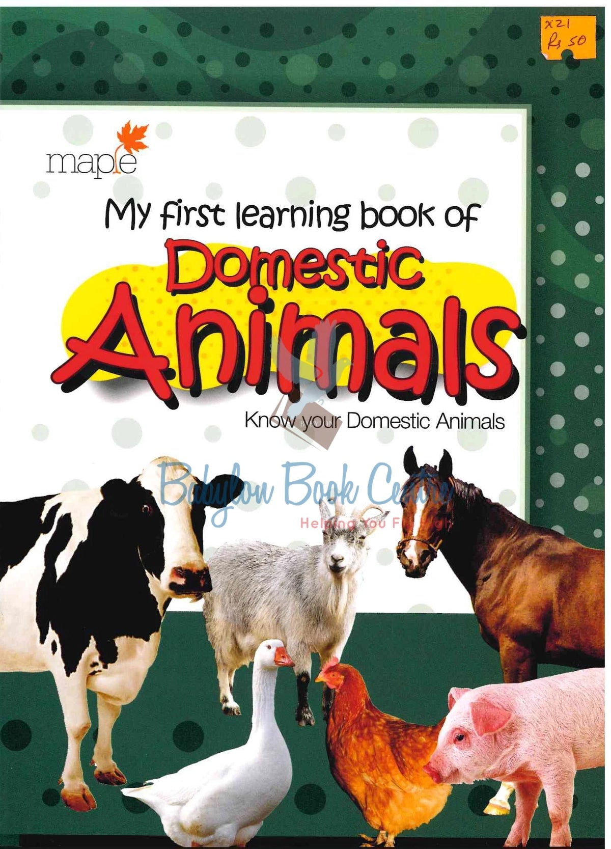 Domestic Animals - My First Learning Book - Maple