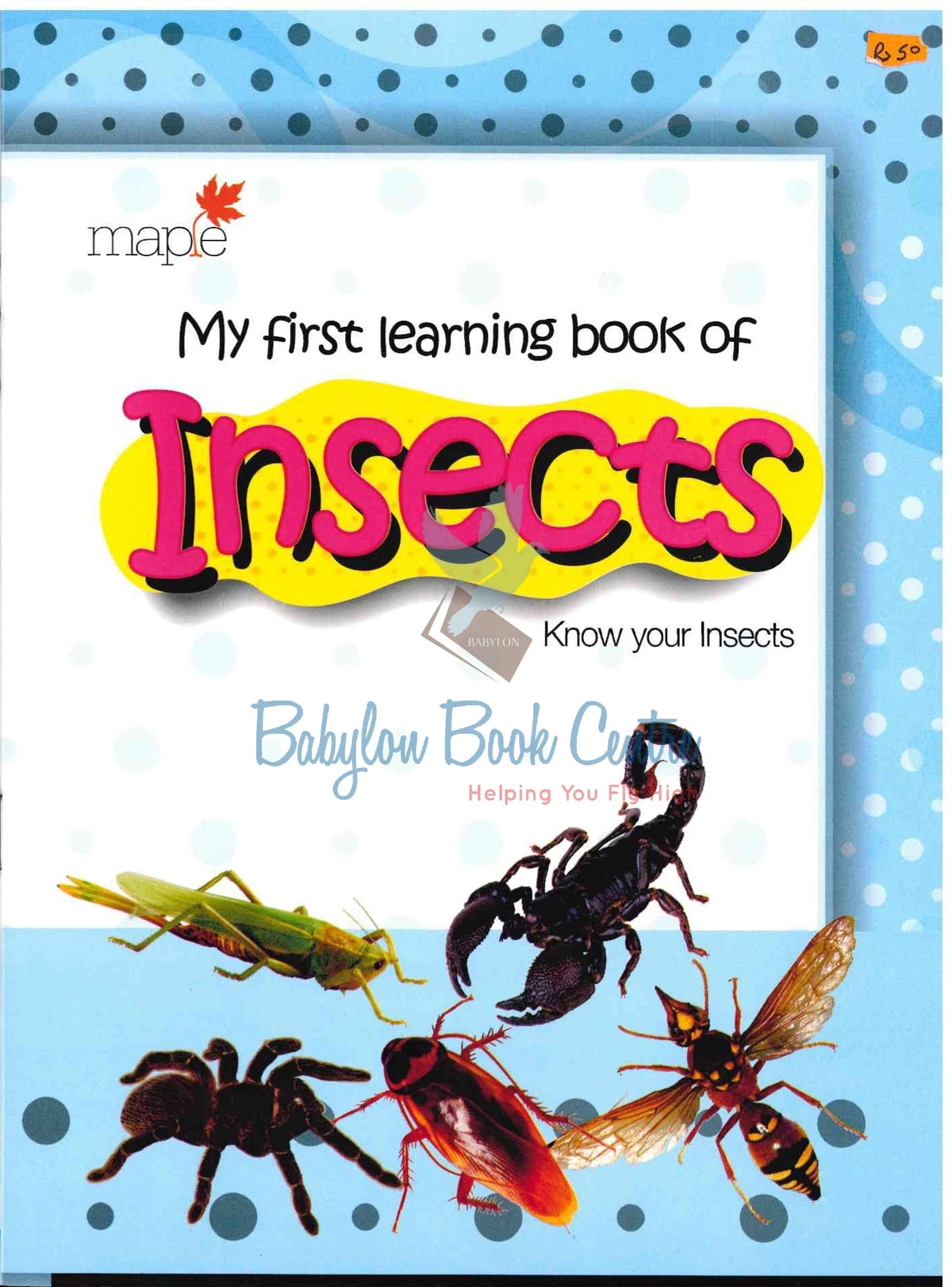 Insects - My First Learning Book - Maple