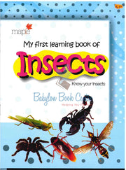 Insects - My First Learning Book - Maple