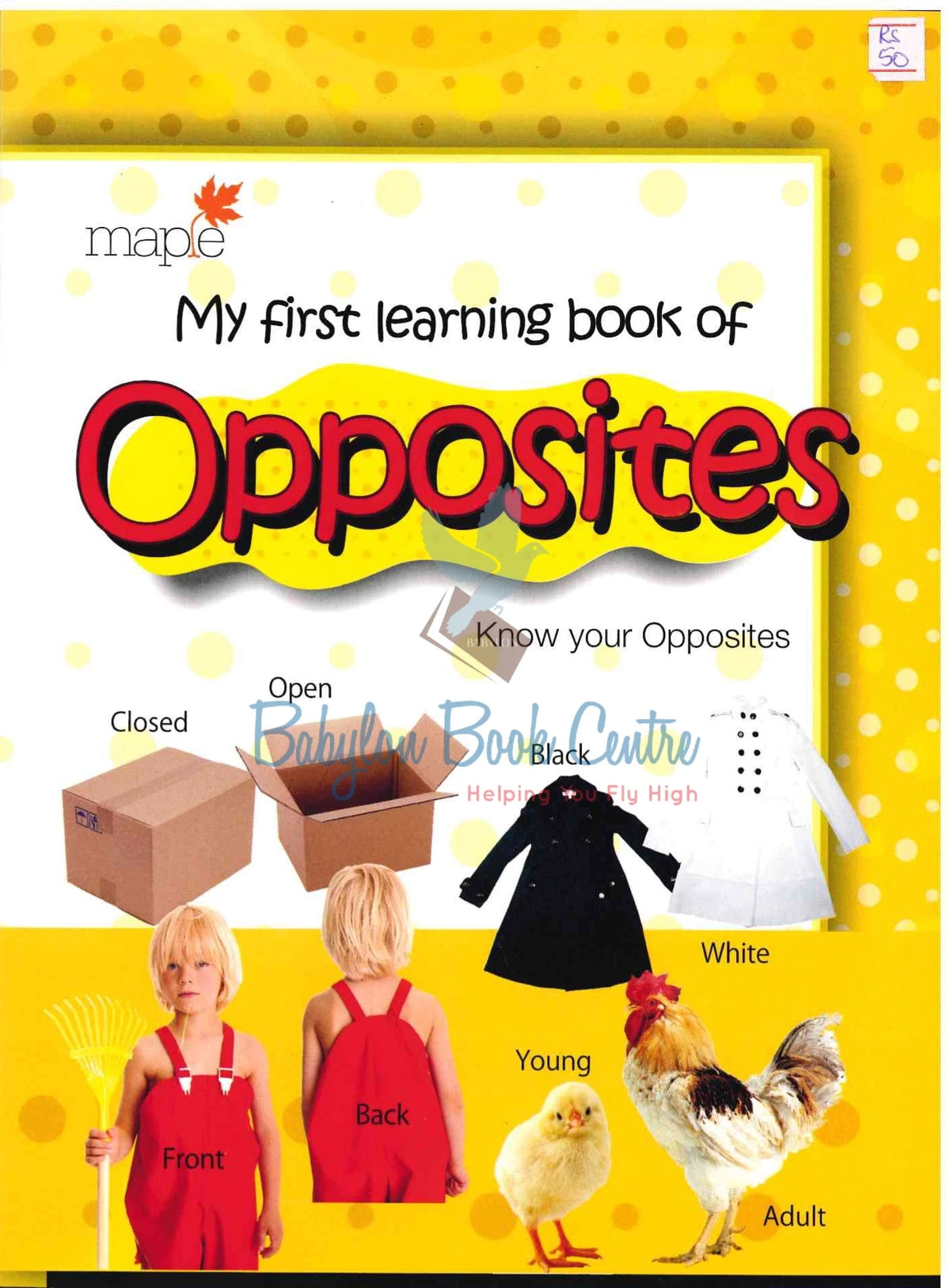 Opposites - My First Learning Book - Maple