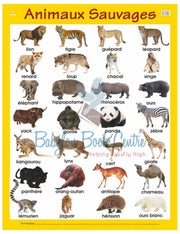 Animaux Sauvages