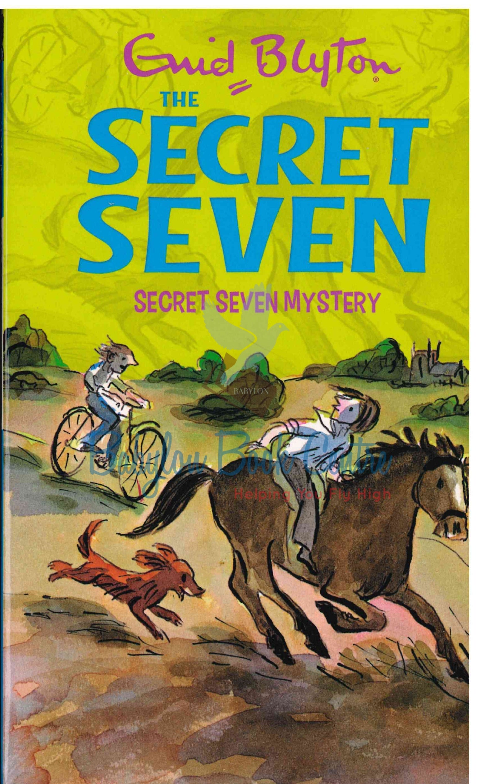 Secret Seven Mystery