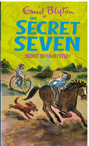 Secret Seven Mystery