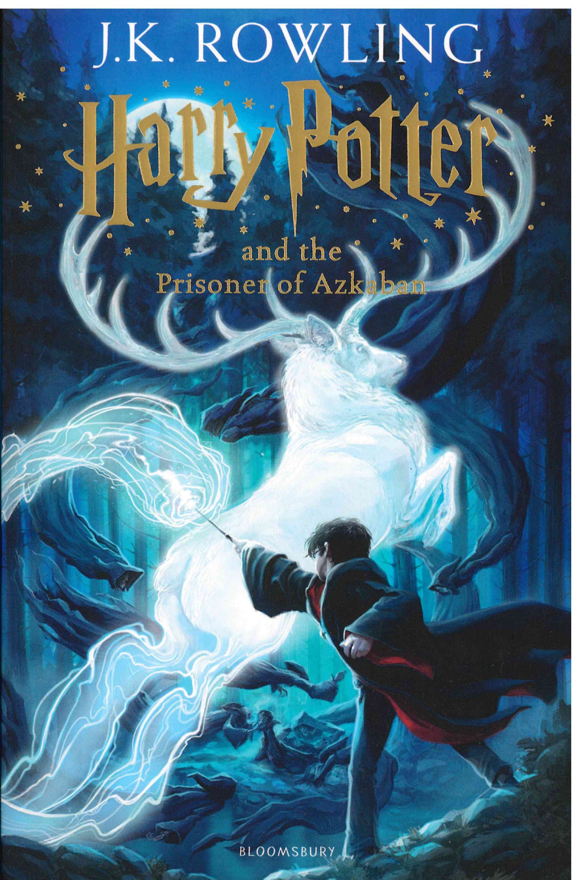 Harry Potter And The Prisoner