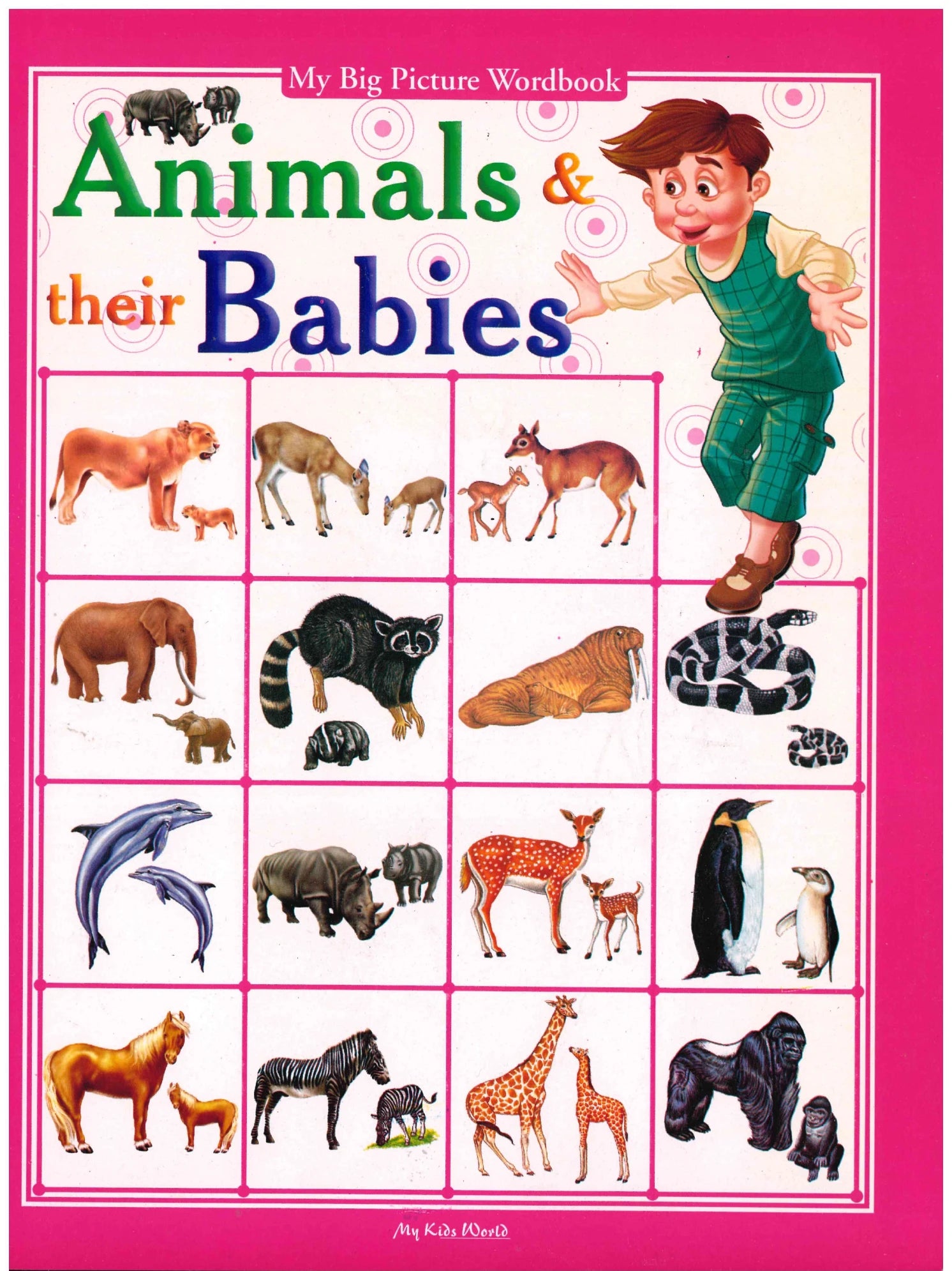 Animals & Their Babies -My Big Picture Wordbook