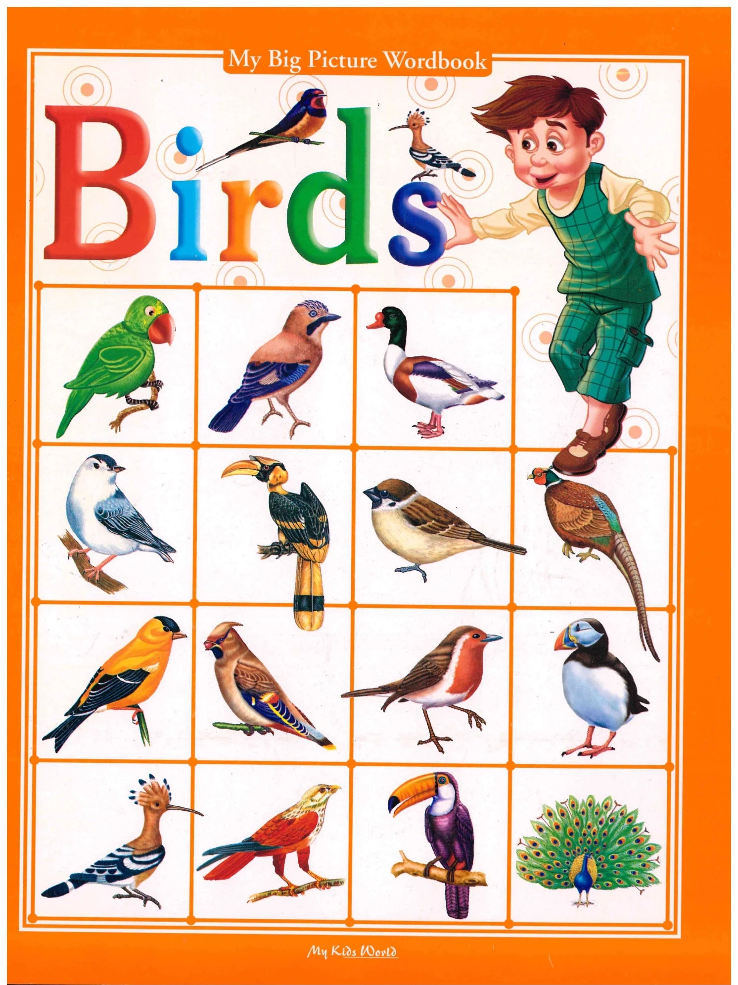 Birds - My Big Picture Wordbook