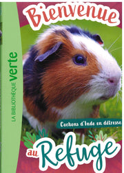 Cochon D'inde En Detess - Bienvenue au Refuge