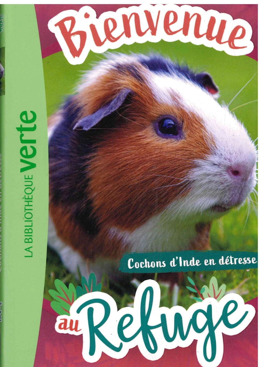 Cochon D'inde En Detess - Bienvenue au Refuge