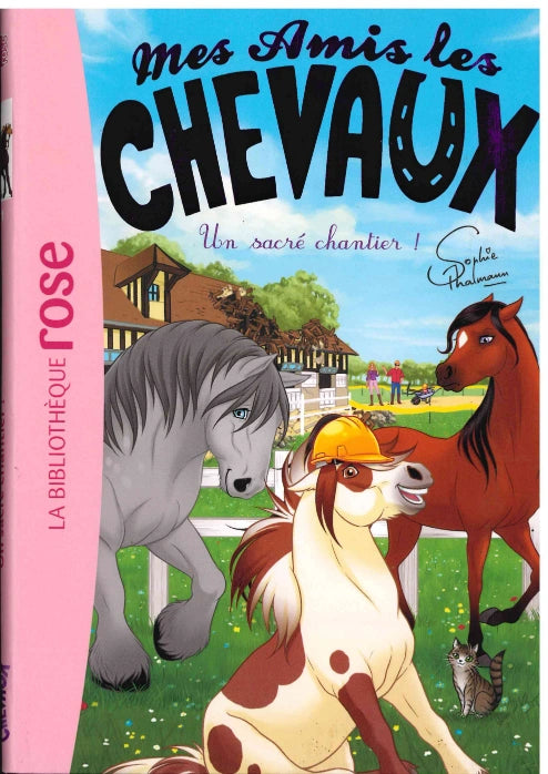 Un Sacre Chantier - Mes Amis Les Chevaux