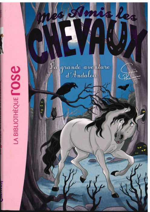 La Grande Aventure D'Andalou - Mes Amis Les Chevaux