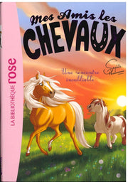 Une Rencontre Inoubliable - Mes Amis Les Chevaux