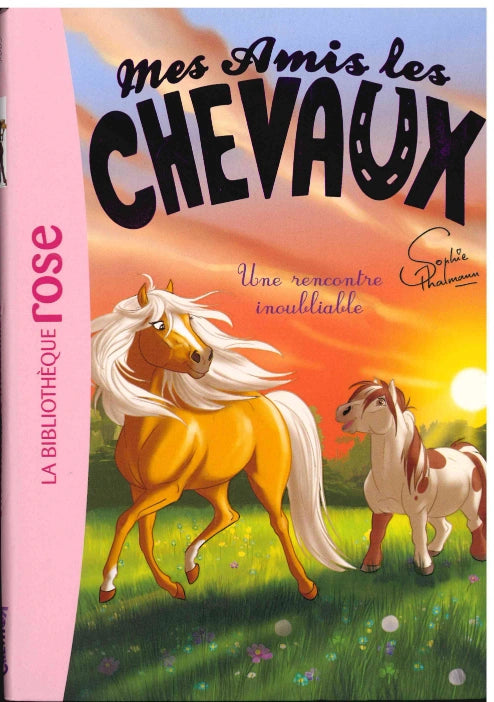 Une Rencontre Inoubliable - Mes Amis Les Chevaux