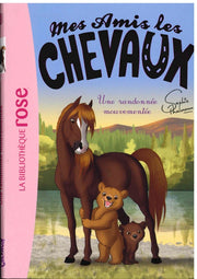 Une Randonnee Mouvementee - Mes Amis Les Chevaux