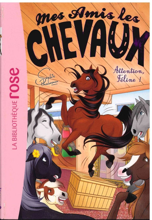 Attention Feline ! - Mes Amis Les Chevaux