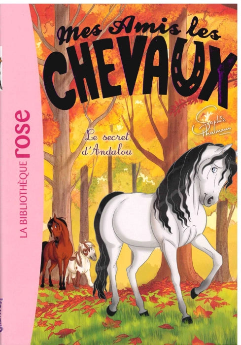 Le Secret D'Andalou - Mes Amis Les Chevaux