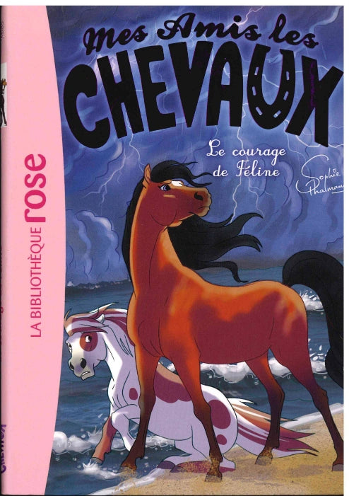 Le Courage De Feline - Mes Amis Les Chevaux