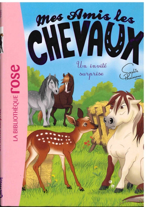 Un Invite Surprise - Mes amis Les Chevaux